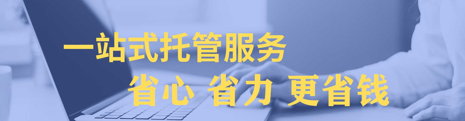 大树信息流竞价